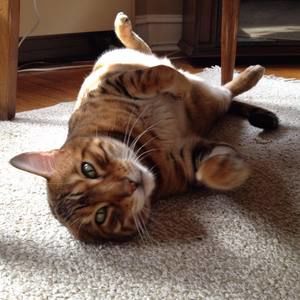 Meet your Posher, Margaret